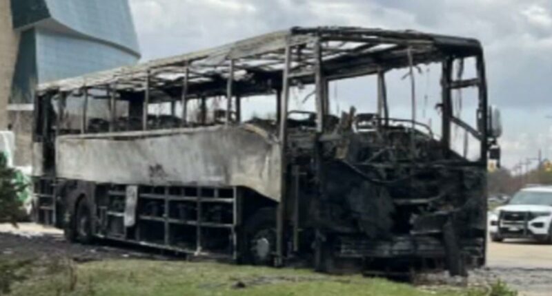 Canadian girl, 15, burns down Kane County Cougars baseball teamâs bus: policeÂ 